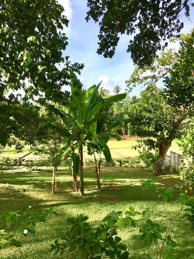 Uyana Boutique Hotel And Retreat Adults Only Ahangama Luaran gambar